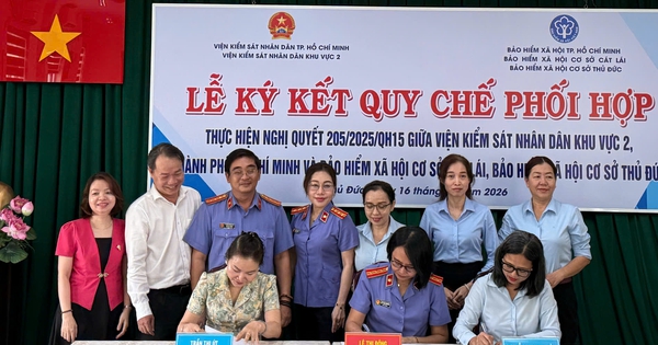 BHXH TP.HCM mời hơn 4.000 đơn vị chậm đóng làm việc, khắc phục hơn 105 tỉ đồng
