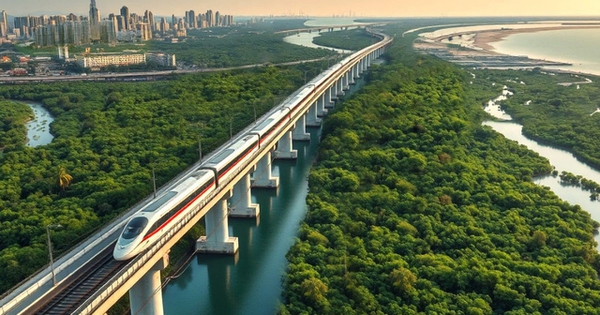 Một xã ở TP.HCM công bố dự thảo giá bồi thường tuyến metro Bến Thành - Cần Giờ