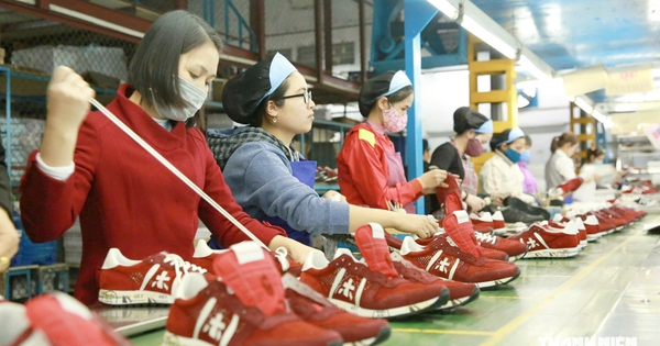 Doanh nghiệp xuất khẩu da giày 'cầu cứu' Bộ Công thương gỡ vướng cấp C/O