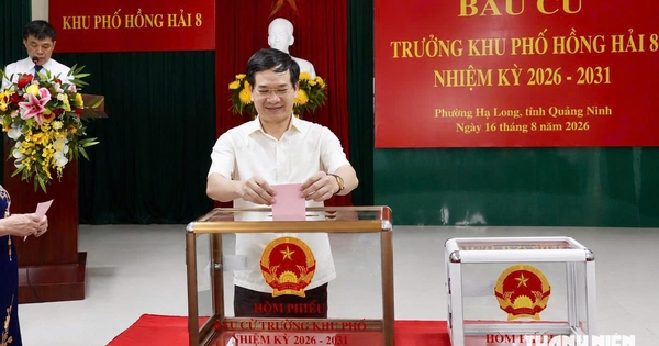 Hơn 395.000 cử tri Quảng Ninh đi bầu trưởng thôn, khu phố