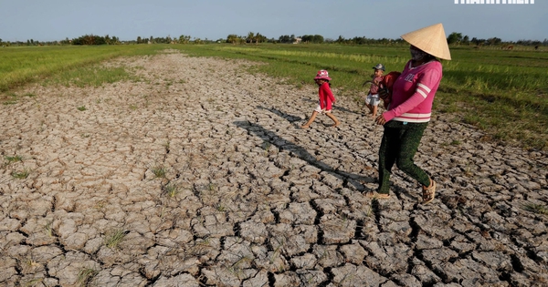 Tin tức đặc biệt trên báo in Thanh Niên 17.8.2026
