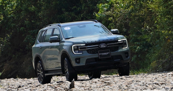 SUV 7 chỗ: Doanh số Ford Everest gấp 4 lần tất cả đối thủ cộng lại