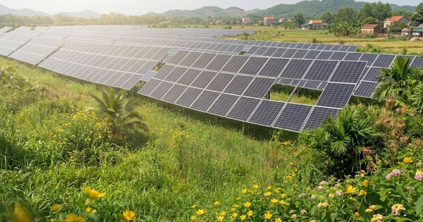 Những lợi ích của các trang trại năng lượng mặt trời