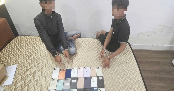 Anh em sinh đôi trộm 27 iPhone, trị giá hơn 400 triệu đồng