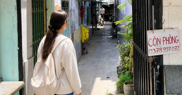 Những nơi này ở TP.HCM đang cho thuê trọ với đủ các loại giá…