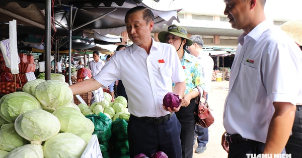 TP.HCM: 147 điểm kinh doanh tự phát quanh chợ đầu mối Hóc Môn