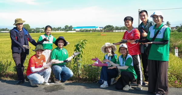 Tử tế được gieo, yêu thương sẽ nảy mầm
