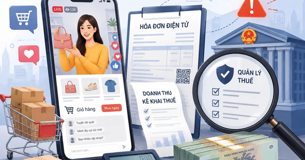 Rủi ro pháp lý khi kinh doanh trên mạng