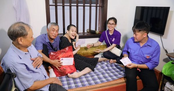 Những bông hoa sen trên thành phố cảng