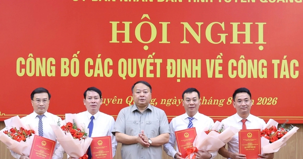 Tuyên Quang luân chuyển nhiều lãnh đạo cấp sở