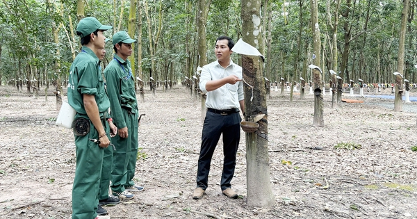 Những sáng kiến nảy mầm trên đất Kampong Thom