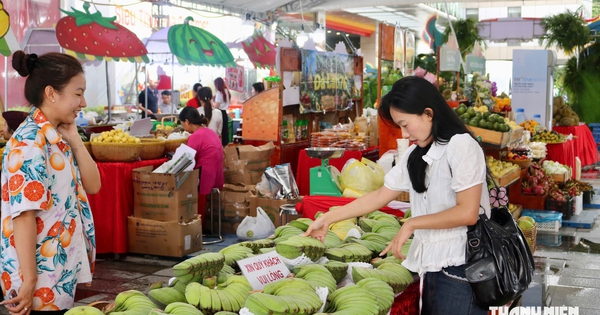 Độc lạ chuối ‘bàn tay cầu nguyện’ khiến khách tò mò tại lễ hội trái cây