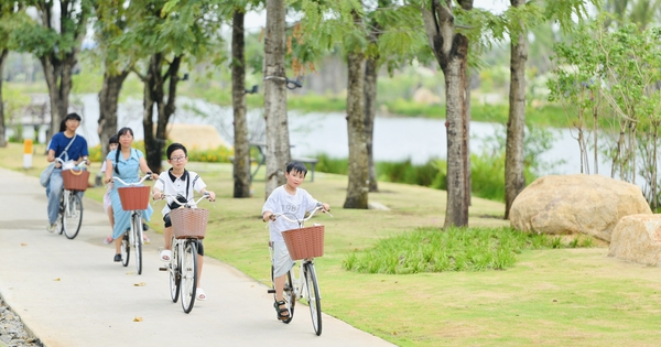 Trẻ em thành thị thiếu sân chơi, thừa thời gian trước màn hình