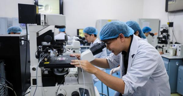 Sắp xếp cơ sở giáo dục ĐH công lập: Cắt giảm đầu mối thế nào để hiệu quả?