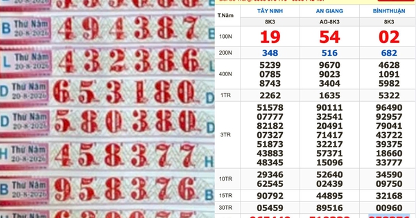Xổ số miền Nam ngày 20 tháng 8: Dãy số giúp 5 người trúng đài Bình Thuận