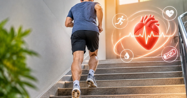 Đi cầu thang mỗi ngày, nghiên cứu phát hiện điều bất ngờ