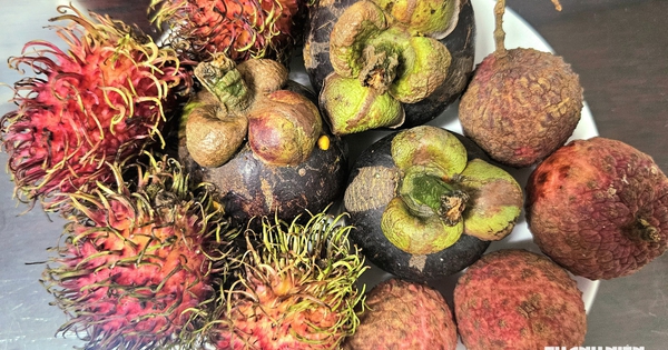 Tối chỉ ăn trái cây để giảm cân, bác sĩ cảnh báo điều này