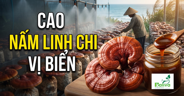 Cùng sống xanh 162: Mê nấm, người nông dân học cách nấu cao linh chi giúp người dùng dễ sử dụng hơn