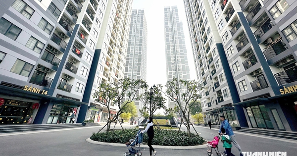 Bộ Xây dựng: Giá chung cư Hà Nội giảm, trung bình 123 triệu/m2