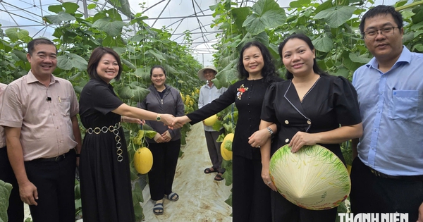 Sản phẩm nông nghiệp cần gắn câu chuyện về vùng đất để tạo sự khác biệt