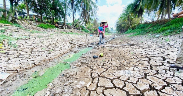 'Siêu El Nino' tác động mạnh đến Việt Nam thế nào?
