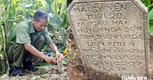 Tấm bia giữa ruộng ngô mở lối đưa liệt sĩ Mai Sỹ Yên về quê hương sau 72 năm