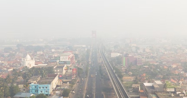 Indonesia bắt 72 người nghi gây cháy rừng nghiêm trọng