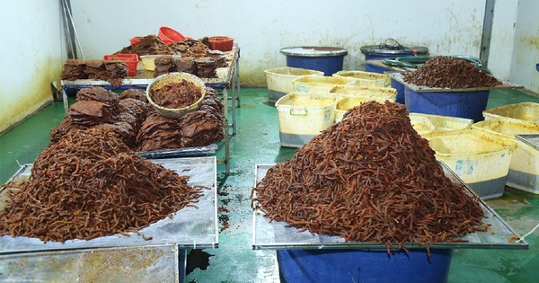Tin tức đặc biệt trên báo in Thanh Niên 26.8.2026