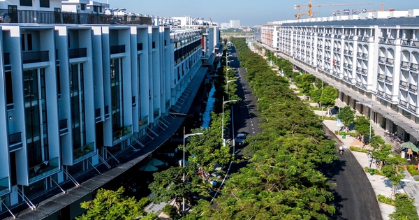 Chuyên gia hiến kế hạ giá nhà đất