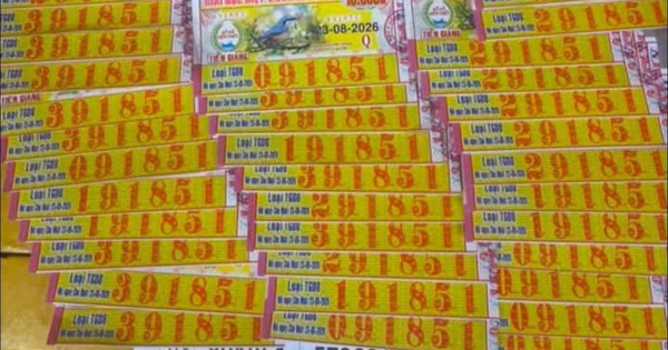 Dãy số giúp người đàn ông ở TP.HCM trúng hàng loạt tờ vé xổ số miền Nam