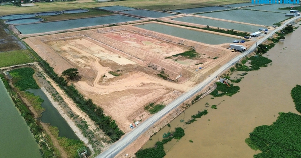 Tây Ninh: Chấn chỉnh sử dụng đất gần biên giới sai mục đích