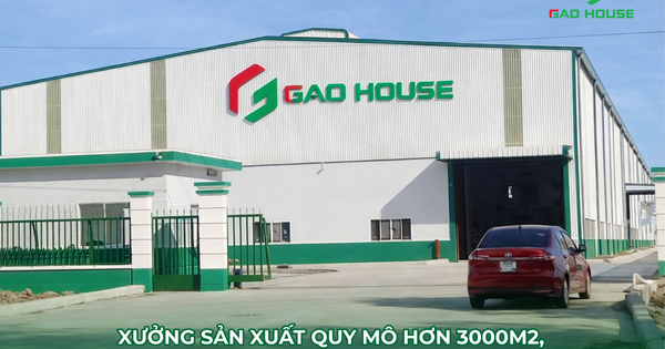Đồng phục Gạo House: Giải pháp chuyên nghiệp cho vị thế doanh nghiệp