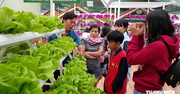 Đừng biến du lịch nông thôn thành một sân khấu
