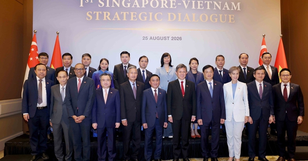 Việt Nam - Singapore hướng đến tương lai chung tự cường