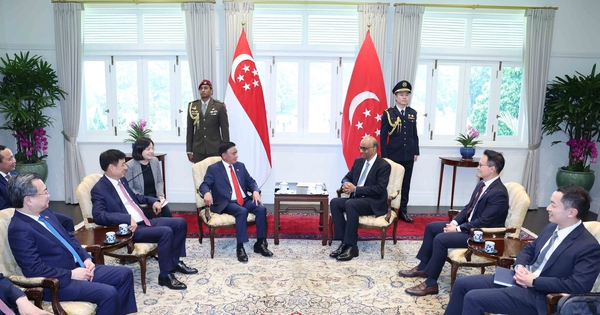Thường trực Ban Bí thư Trần Cẩm Tú hội kiến Tổng thống Singapore