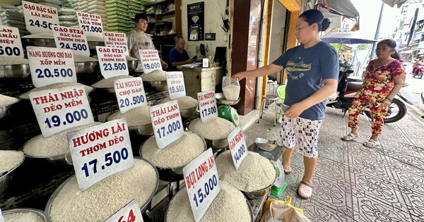 Nâng cấp thương mại gạo Việt Nam - Philippines
