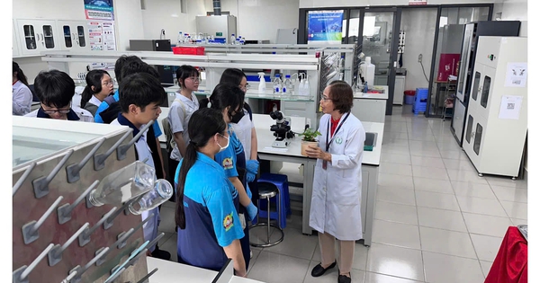 Có nên để hoạt động trải nghiệm, hướng nghiệp là môn học riêng?