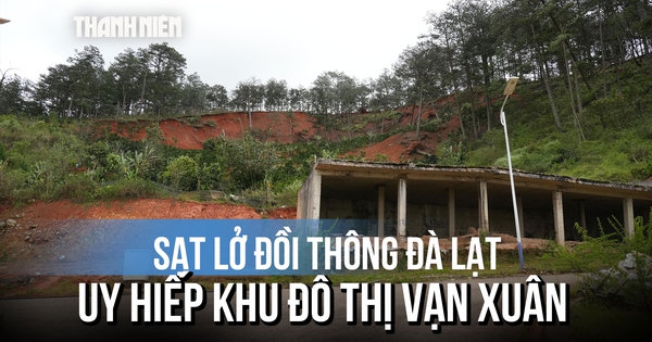 Đà Lạt khẩn cấp cắm biển cảnh báo điểm sạt lở đồi thông uy hiếp công trình hạ tầng
