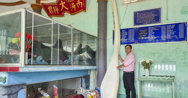 Con vật bước vào điện thờ ở TP.HCM: Người sống chăm mộ cá Ông để trả ơn