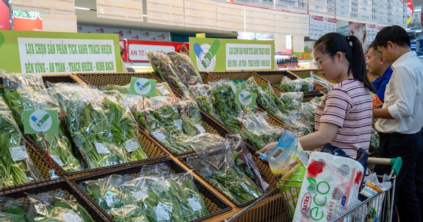 Suất ăn tập thể: Chặn rủi ro từ gốc bằng chuẩn ‘Tick xanh trách nhiệm’