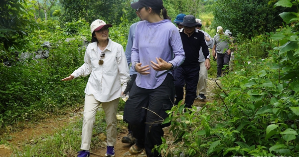 Đại sứ Mỹ băng rừng đến hiện trường tìm kiếm quân nhân mất tích tại Quảng Trị