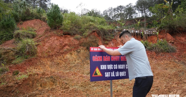 Sạt lở đồi thông ở Đà Lạt đe dọa công trình, đường và hệ thống điện