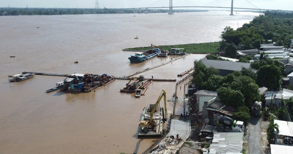 Mong lắm kè sông Tiền sớm về đích