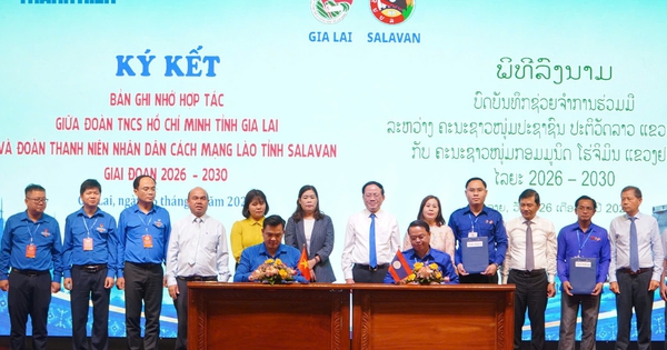 Thanh niên Gia Lai kết nối bạn trẻ Lào, Campuchia để cùng khởi nghiệp