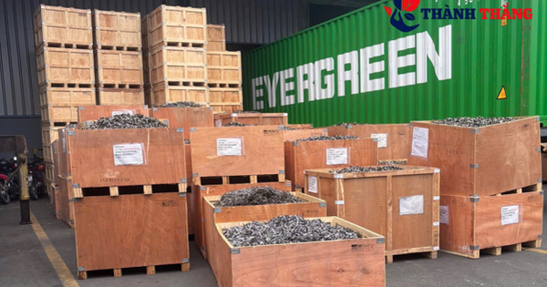 Công ty Phế liệu Thành Thắng hướng nguồn nguyên liệu vào chuỗi tái chế