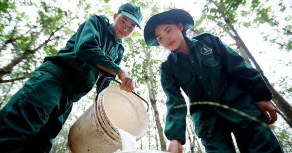 Từ Xín Mần đến rừng cao su phương Nam, người Mông tìm cơ hội đổi đời