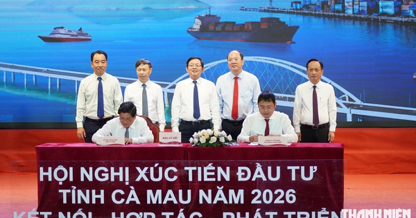 Cà Mau trao quyết định đầu tư cho 19 dự án hơn 40.000 tỉ đồng