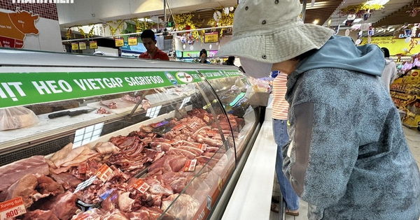 Giá heo hơi hôm nay 29.8.2026: Mất mốc 60.000 đồng/kg