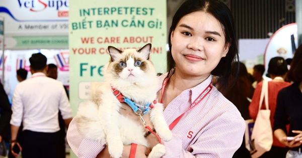 Hàng trăm người đến lễ hội thú cưng lớn nhất TP.HCM: Vào cổng là có quà