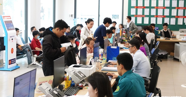 TP.HCM liên thông 4 thủ tục khai sinh, thường trú, cấp thẻ căn cước và BHYT